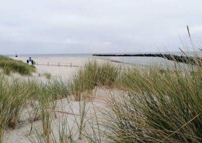 Foto der Dünenlandschaft auf Helgoland, Blick durch Dünengras auf die Nordsee