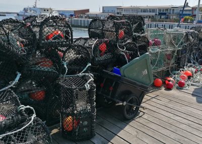 Foto von Fangkörben für den berühmten Helgoländer Hummer