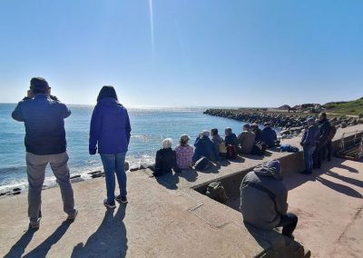 Foto einer Menschengruppe am Ufer auf Helgoland schauen auf das Meer